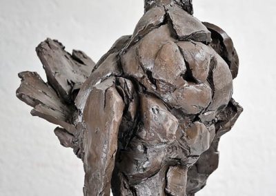 Laurence Domenach sculpture "Le Dindon" © APEVDC