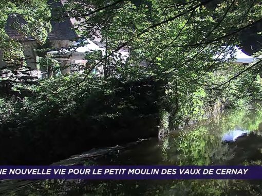 Petit Moulin des Vaux de Cernay
